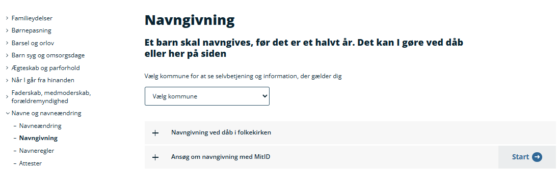 borger.dk digital navngivning.png