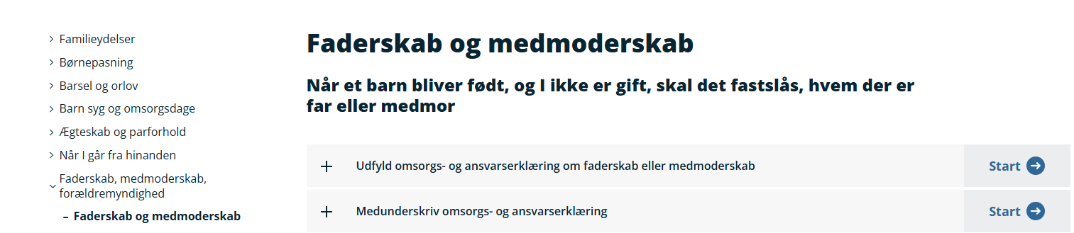 borger.dk digital faderskab.png
